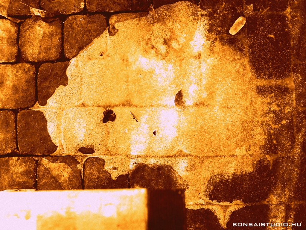 marczika bonsai kerteszet erd hungary bonsai studio